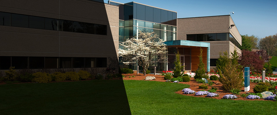 Waite Park Landscapers