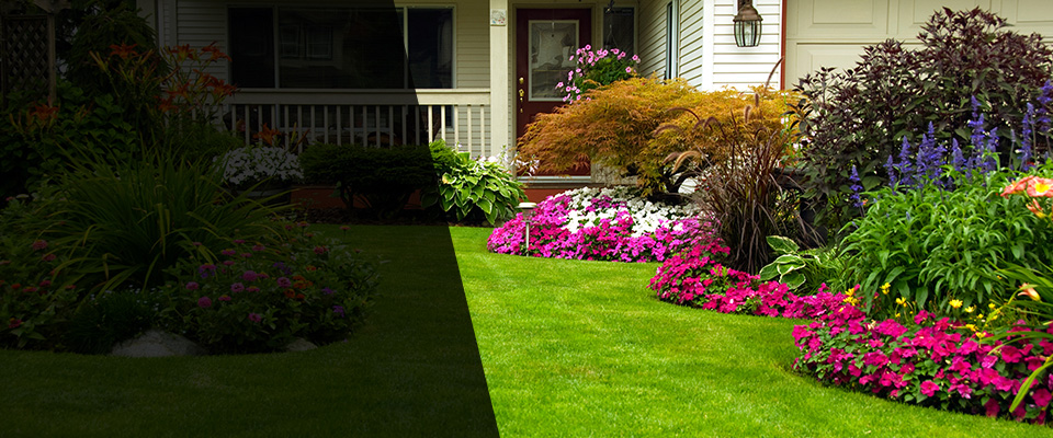 Waite Park Landscapers