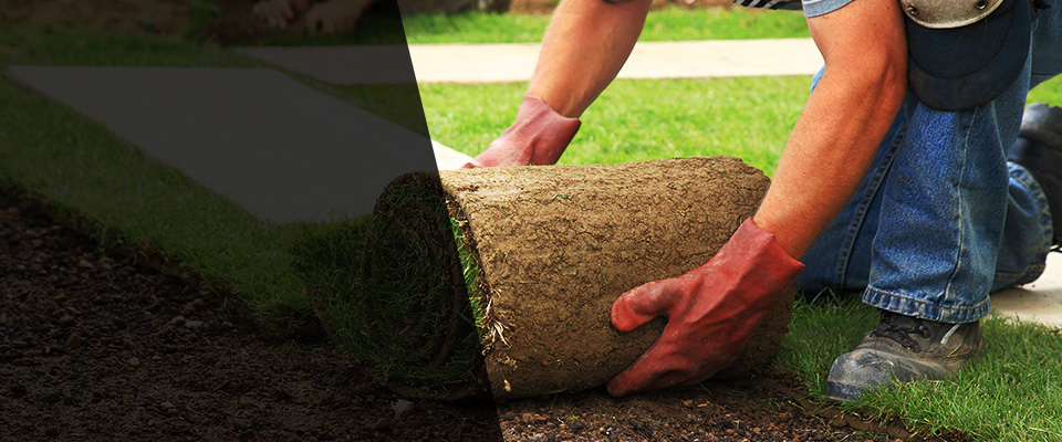 Waite Park Landscapers